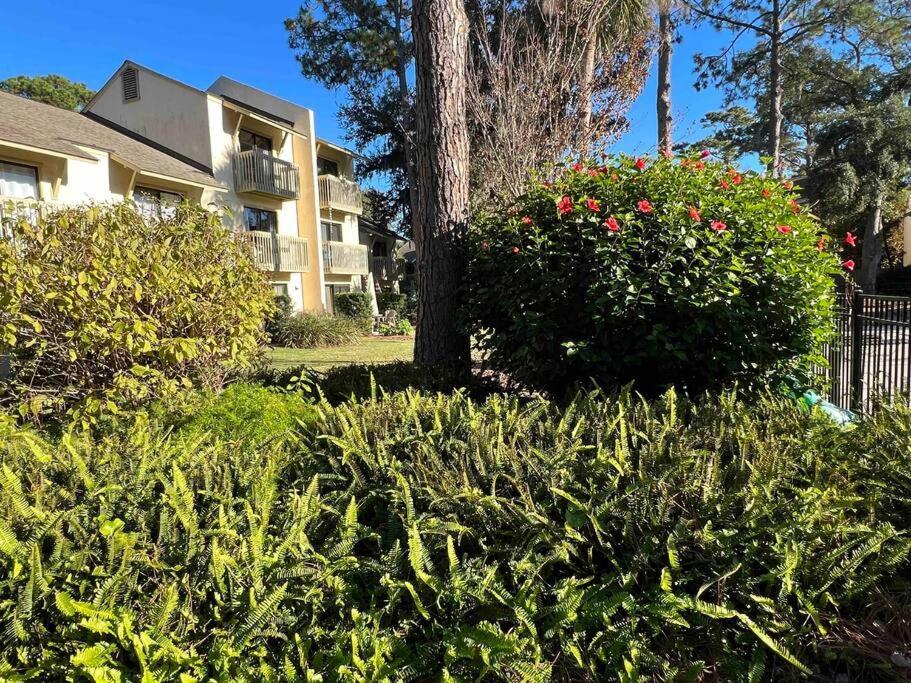 Spacious, Cozy Villa W/Parking In Coligny Villas Hilton Head Island Εξωτερικό φωτογραφία