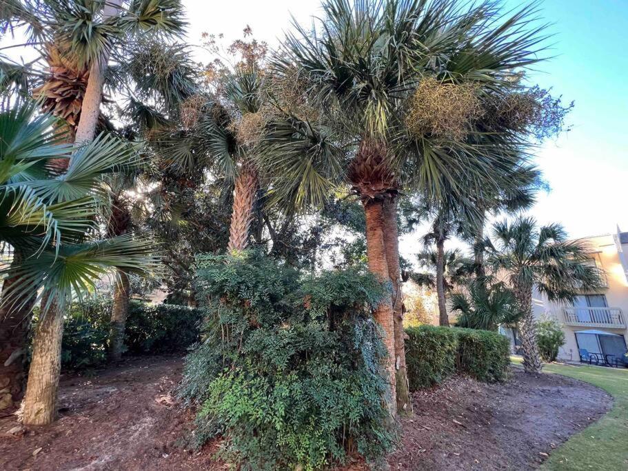 Spacious, Cozy Villa W/Parking In Coligny Villas Hilton Head Island Εξωτερικό φωτογραφία